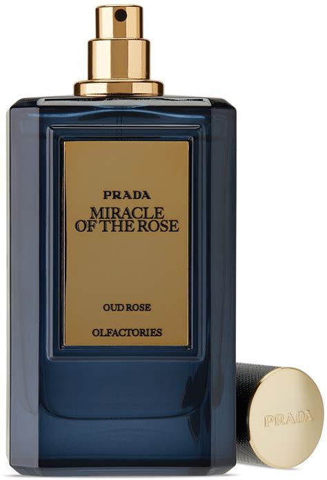 prada miracle of the rose|Prada miracle of the rose notes.